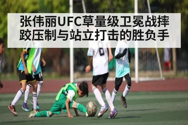 张伟丽UFC草量级卫冕战摔跤压制与站立打击的胜负手